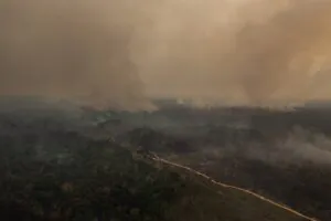 Licenciamento forte reduziria impactos da infraestrutura