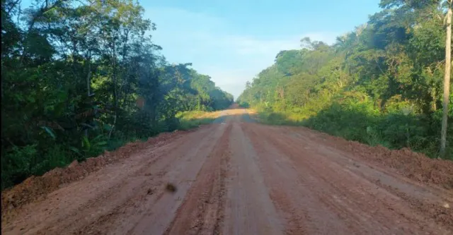 Organizações cobram cumprimento de medidas de combate a atividades ilegais na Amazônia