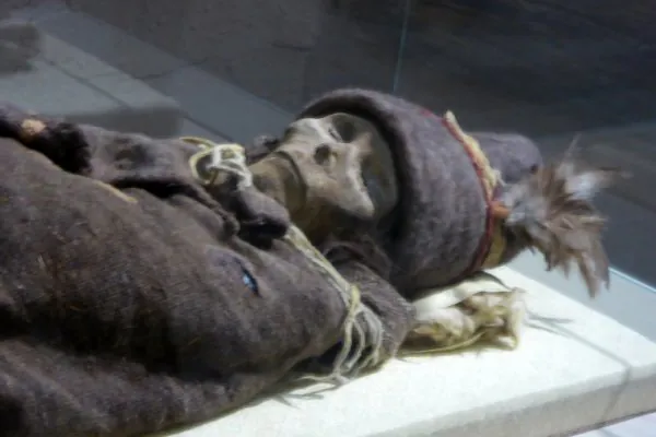 Múmias de Tarim: conheça o maior mistério arqueológico de todos os tempos
