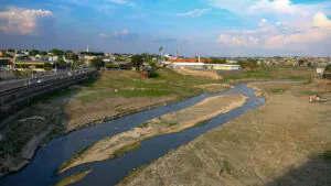 Os ecossistemas urbanos do Brasil ameaçados por lei-4: precisa-se de mais cuidado