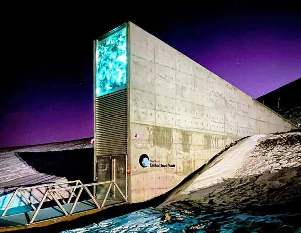 Silo Internacional de Svalbard: o banco de sementes da Noruega que guarda 90% de todas do mundo