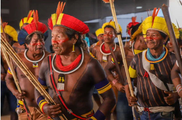 Luta por terras indígenas pode ser auxiliada por sítios arqueológicos na Amazônia