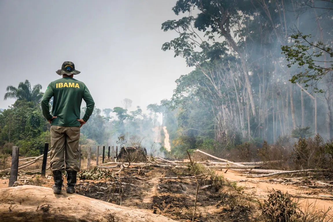 Associação de servidores ambientais orienta retorno em atividades determinadas pelo STJ