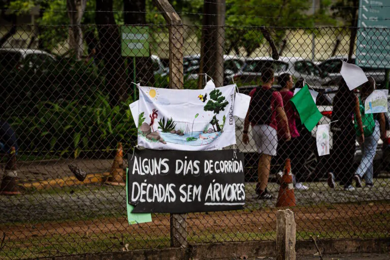 Corte de árvores para realização da Stock Car em Belo Horizonte volta a ser autorizado