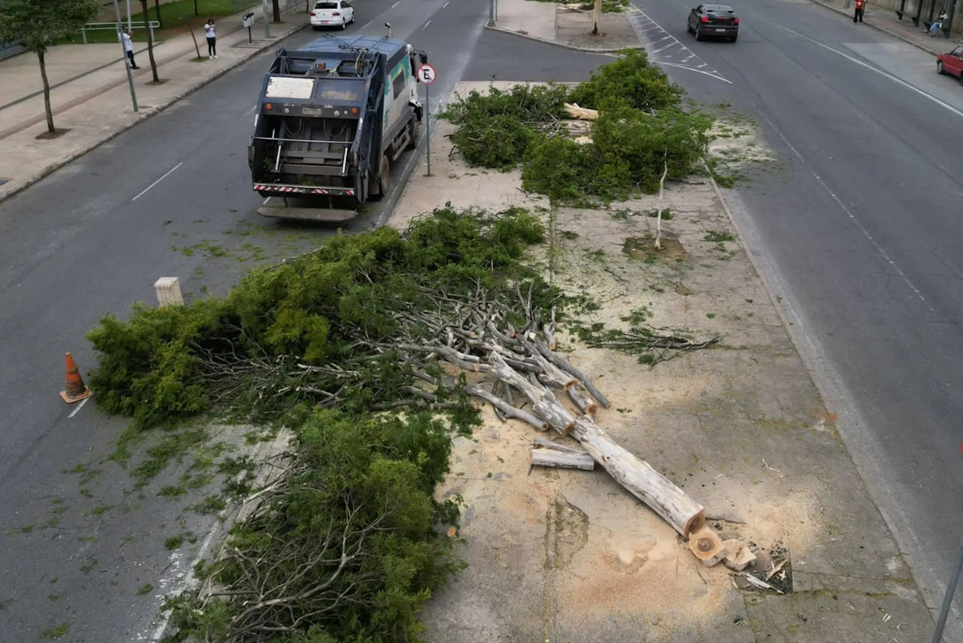 Liminar interrompe corte de árvores para circuito da Stock Car, em Belo Horizonte