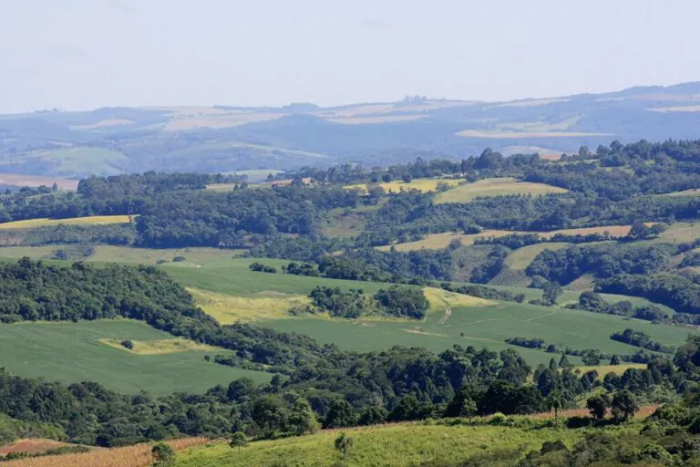 Passivo de Reserva Legal no país ultrapassa 16 milhões de hectares