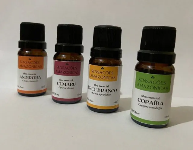 Startup que estuda produção de óleos essenciais a partir de plantas amazônica recebe apoio no Amapá