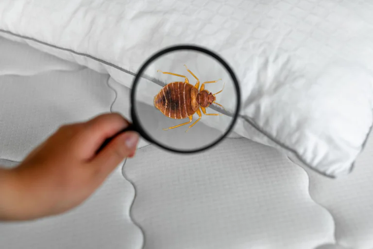 6-doencas-parasitarias-terrivelmente-assustadoras-thumb.png