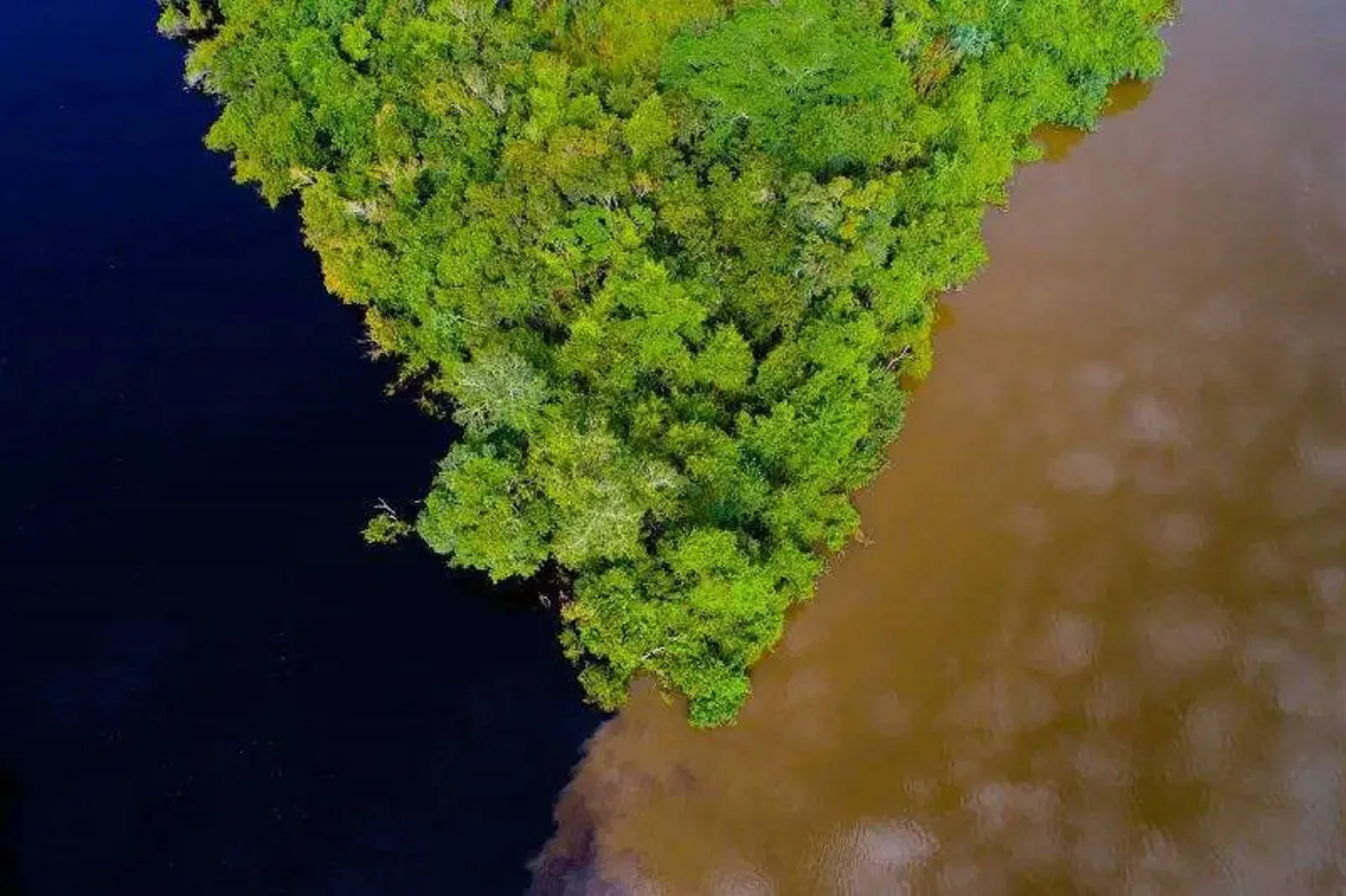 Ministério Público de MT vai tentar reverter extinção do Parque Cristalino II