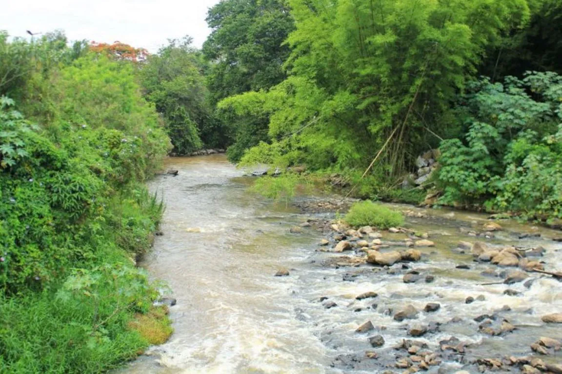 Cobertura de água no Brasil diminuiu 6,3 milhões de hectares nas últimas quatro décadas