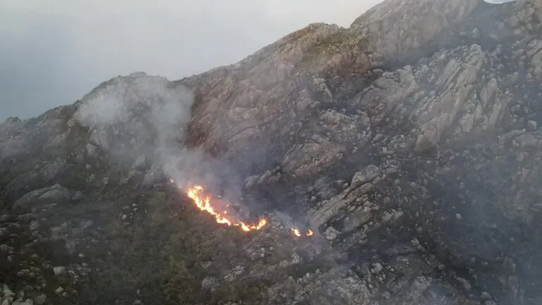 Imagens mostram comboio do Exército ao lado de incêndio no Itatiaia
