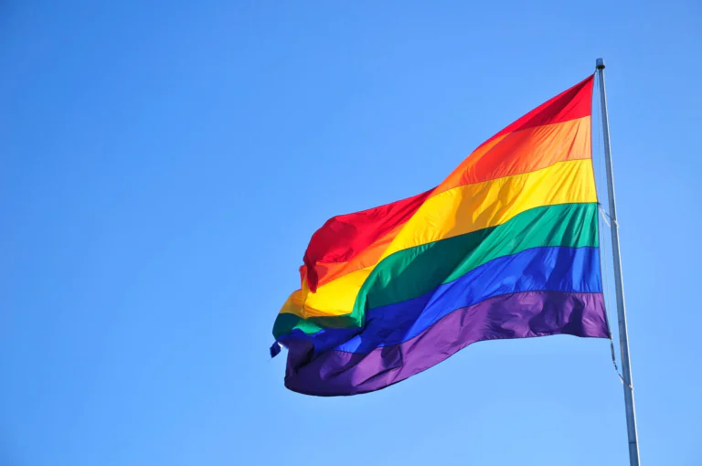 o-que-representa-cada-cor-da-bandeira-lgbtqiapn-thumb.png