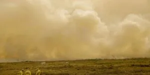 Queimada no Pantanal persiste mesmo após proibição de manejo do fogo