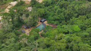 Greenpeace afirma que, mesmo com fiscalização, garimpo ilegal avança em novas áreas da Terra Yanomami 