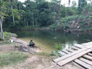 Justiça Federal determina área do povo Sabanê do sul de Rondônia