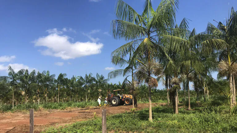 TJ-AM suspende uma das censuras contra a Amazônia Real