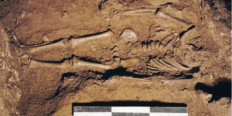 DNA de esqueleto com 17 mil anos revela que bebê era fruto de incesto