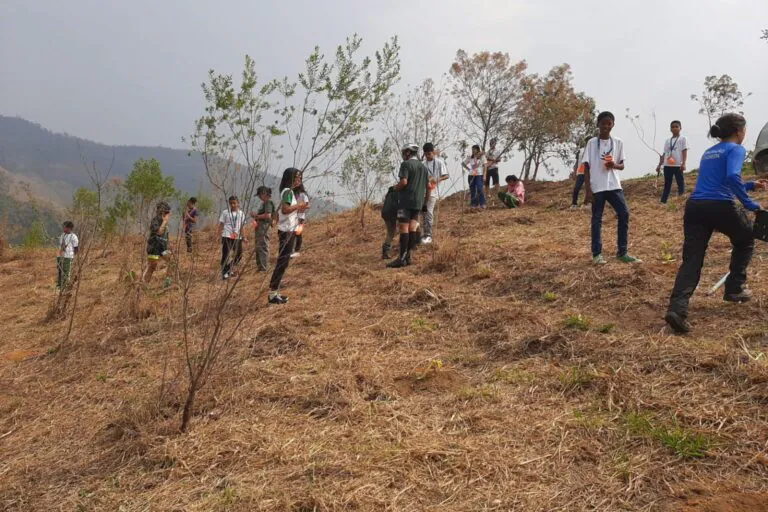 Com plantio de mais de 68 mil mudas, SP celebra nova RPPN e restauração da floresta