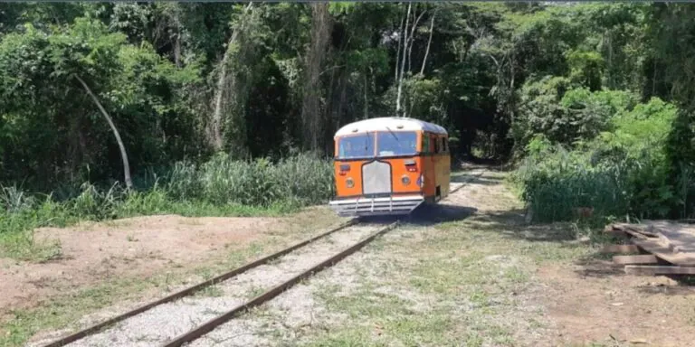Litorina retoma passeios em Porto Velho em 2025