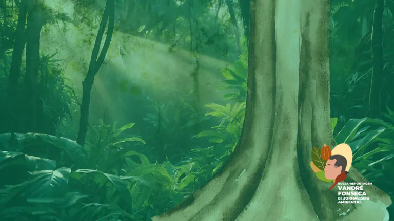 Podcast: Na sombra do Jequitibá: Biodiversidade e Economia das cabrucas 