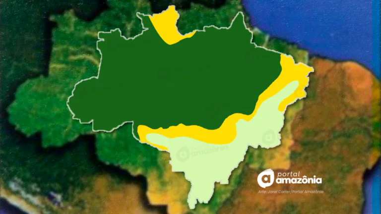 Portal Amazônia responde: o que são os ecótonos?