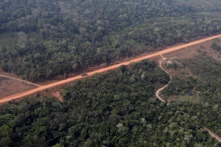 Resposta de pesquisadores à matéria: Volta ao Brasil em 75 parques nacionais