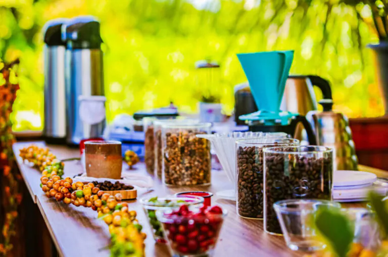 RO está entre os 5 maiores exportadores de café do Brasil