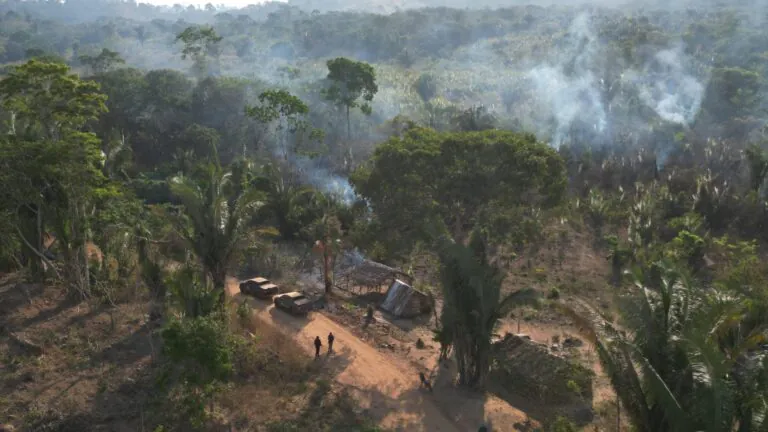 A guerra às drogas também é uma guerra aos territórios tradicionais