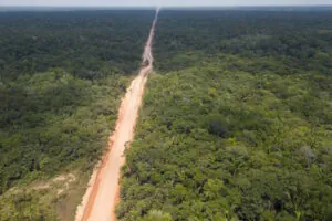 Áreas protegidas ao longo da BR-319 na mira da grilagem, desmate e fogo