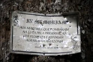 Entre a floresta e a violência: o custo de ser mulher e defensora ambiental
