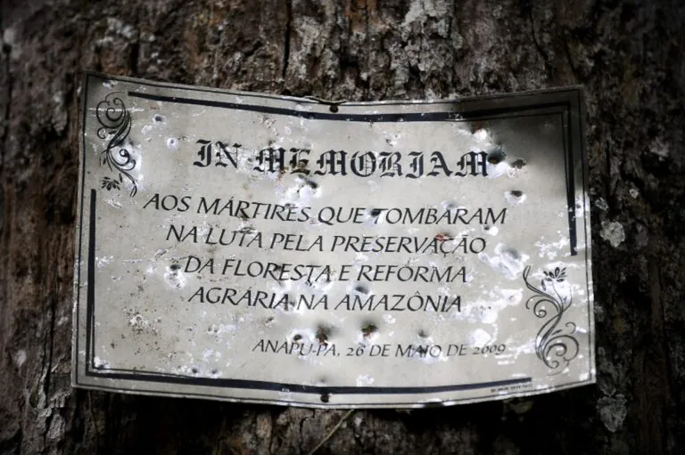 Entre a floresta e a violência: o custo de ser mulher e defensora ambiental