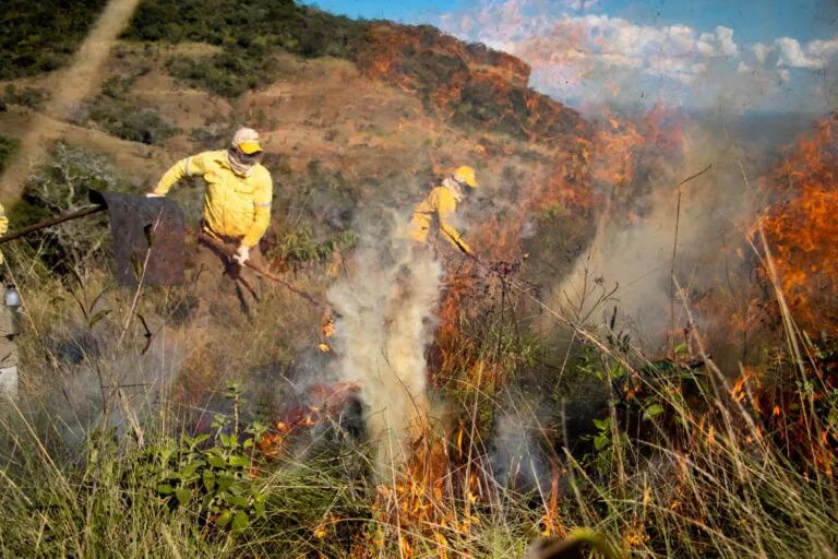 Governo confirma mobilização de 4.600 brigadistas para combate ao fogo no Brasil em 2025