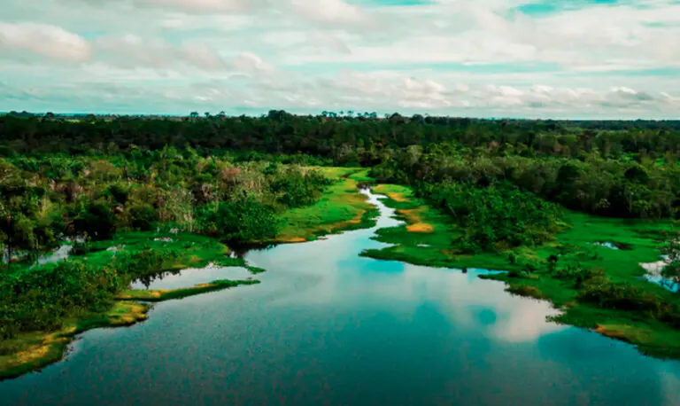 Juruti vai receber trilha ecológica e turismo comunitário