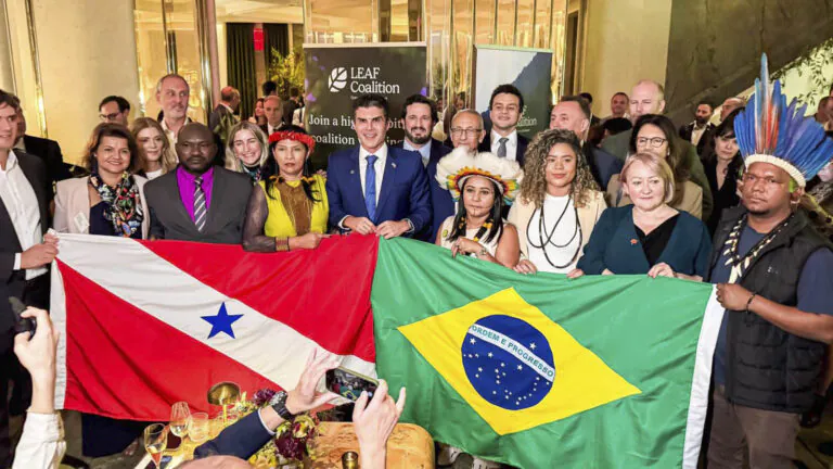 Mercado de carbono ‘sequestra’ discussões no Pará da COP-30