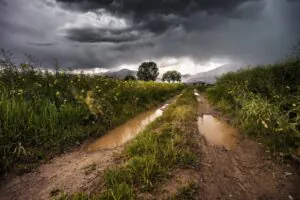 O que é o "cheiro de terra molhada"?
