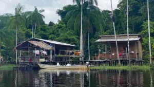 Projeto Mejuruá: Riozinho, no Amazonas, denuncia assédio por carbono