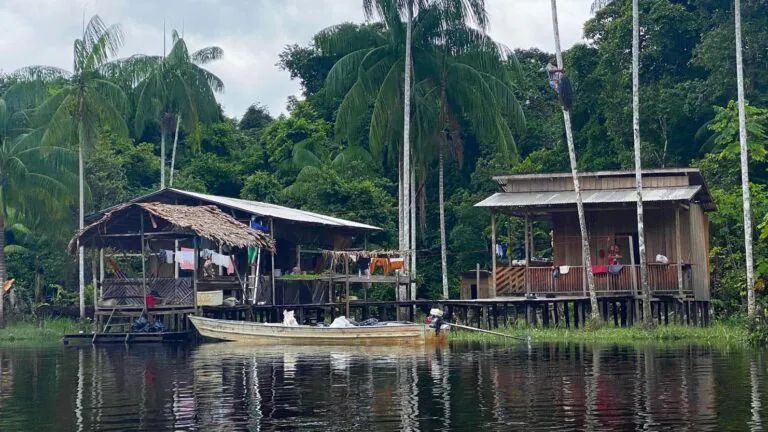 Projeto Mejuruá: Riozinho, no Amazonas, denuncia assédio por carbono