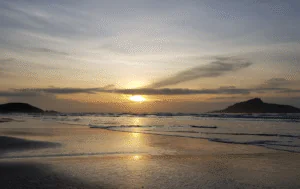 Projeto quer reduzir APA da Baleia-Franca, em Santa Catarina