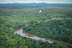 R$ 150 mi do Fundo Amazônia serão destinados à restauração ecológica de terras indígenas
