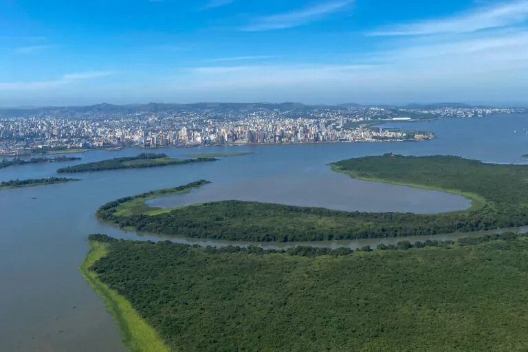 Situação da biodiversidade no RS após enchentes será conhecida em até 3 anos