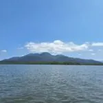 A importância da rede de colaboração em prol da conservação dos manguezais no litoral norte do Paraná