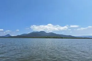 A importância da rede de colaboração em prol da conservação dos manguezais no litoral norte do Paraná