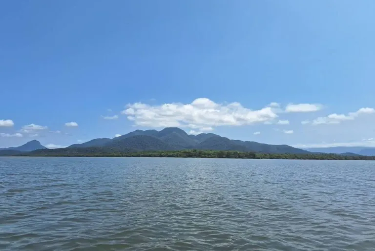A importância da rede de colaboração em prol da conservação dos manguezais no litoral norte do Paraná