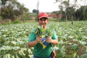Acre recebe R$ 24 mi para fortalecer agricultura familiar