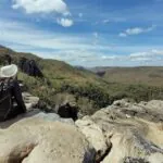 Ajustes em trilha podem melhorar sua função de corredor ecológico no Cerrado