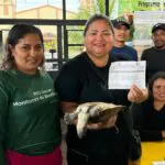 Amazonas promove pela primeira venda legal de quelônios