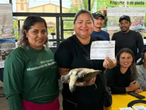 Amazonas promove pela primeira venda legal de quelônios