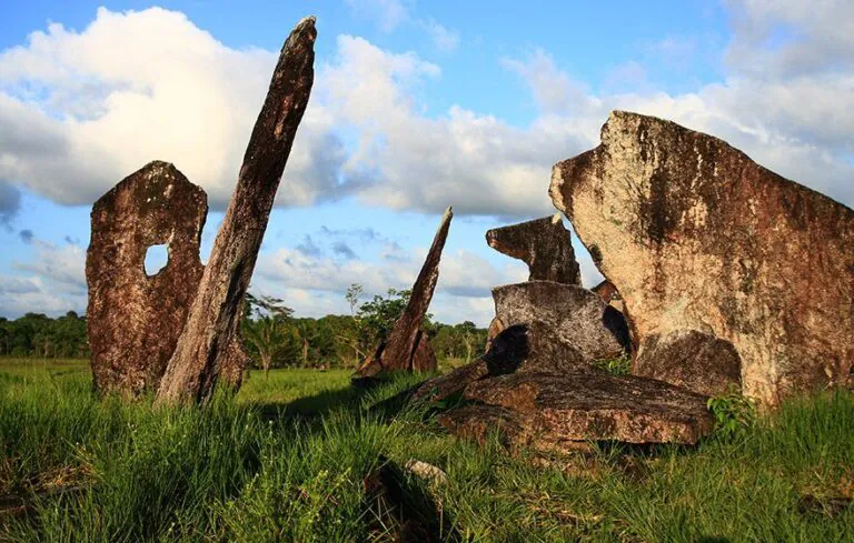 Amazônia concentra maior número no BR