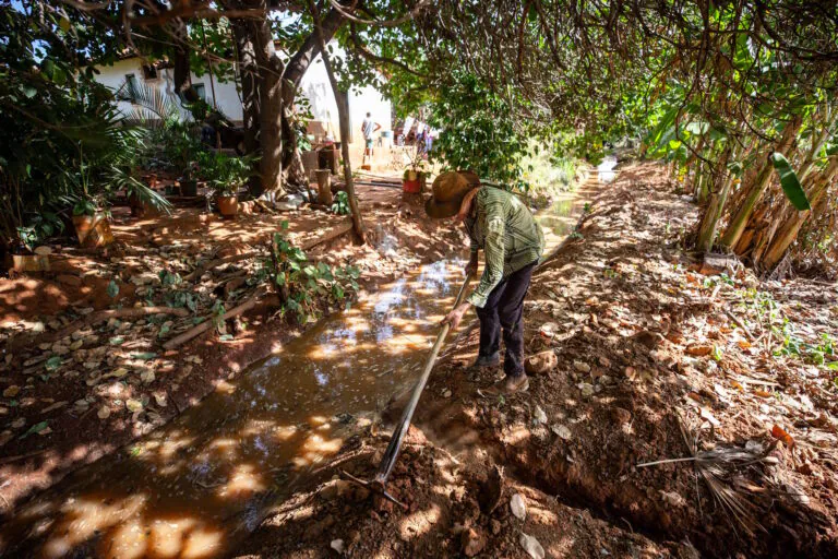 Como comunidades de fecho de pasto conservam o Cerrado no oeste baiano