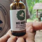 Comunidade indígena peruana produz mel de abelha sem ferrão
